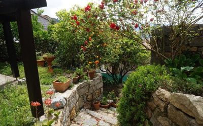 Private Garden